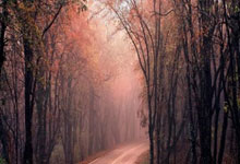 贺希宁爆发23+4,双外援狂揽69分,深圳复仇山东,盖利铁匠附体!.