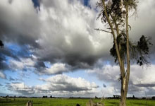 [国]陈泽仕开场闪击 中国U19男战平澳大利亚.